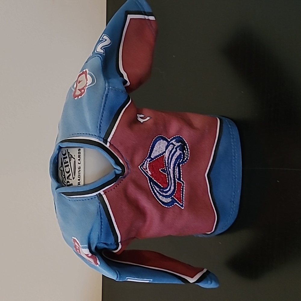 03-04 Pacific Heads Up Peter Forsberg Mini Jersey